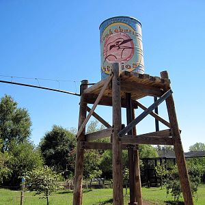 Australia-Kookaburra Junction