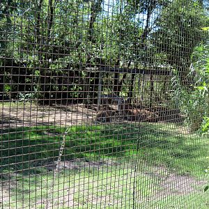 South America-Guanao Exhibit