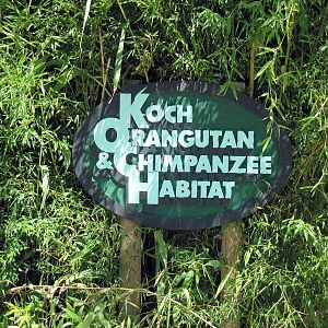 Orangutan and Chimpanzee Habitat-Signage