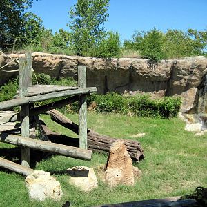 Orangutan and Chimpanzee Habitat-Chimpanzee Exhibit