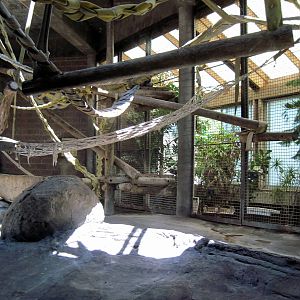 Orangutan and Chimpanzee Habitat-Chimpanzee Exhibit