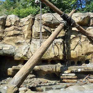 Legends Of The Wild - Humboldt Penguin Exhibit