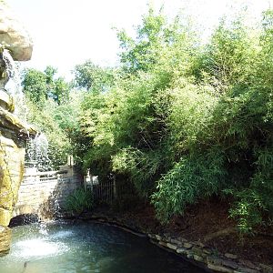 Legends Of The Wild - Waterfall