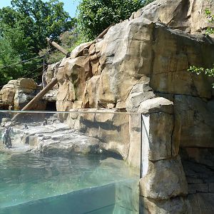Legends Of The Wild - Humboldt Penguin Exhibit