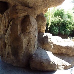 Legends Of The Wild - Waterfall Walkway