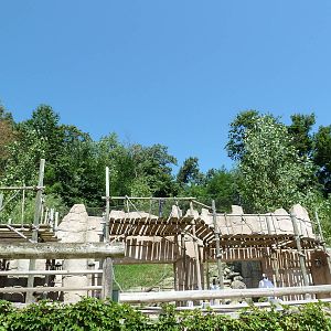 Legends Of The Wild - Andean Condor Exhibit