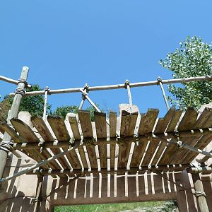 Legends Of The Wild - Andean Condor Exhibit - Visitor Cover