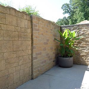 Legends Of The Wild - Visitor Walkway