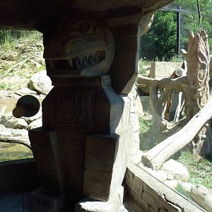 Legends Of The Wild - Jaguar Exhibit