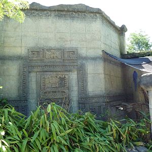 Legends Of The Wild - Hyacinth Macaw Exhibit
