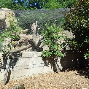 Legends Of The Wild - Capybara + Jaguar Exhibits