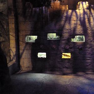 Legends Of The Wild - Terrariums