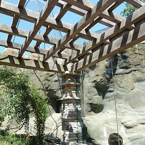 Legends Of The Wild - Snow Leopard + Himalayan Tahr Exhibits