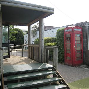 Liberty`s Owl , Raptor and Reptile Centre.