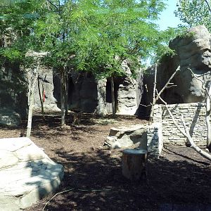 Legends Of The Wild - Himalayan Tahr Exhibit
