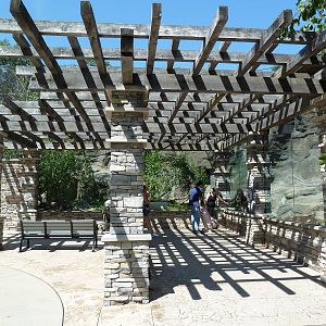 Legends Of The Wild - Snow Leopard + Himalayan Tahr Exhibits