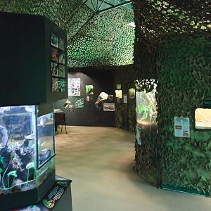 Jungle Floor - Closing Day - 05/09/2010