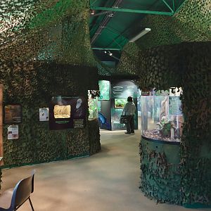 Jungle Floor - Closing Day - 05/09/2010