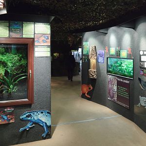 Jungle Floor - Closing Day - 05/09/2010