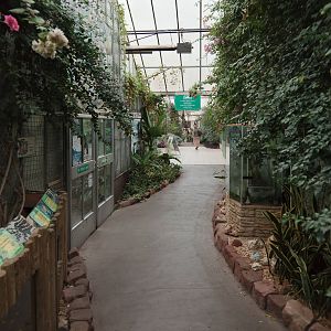 Palms Tropical Oasis - Closing Day - 05/09/2010