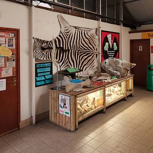 Confiscated Items - Closing Day - 05/09/2010