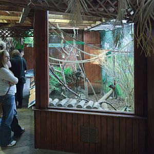 Palms Tropical Oasis - Closing Day - 05/09/2010