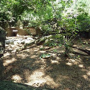Wild Prairie - Spur-Thighed Tortoise Exhibit
