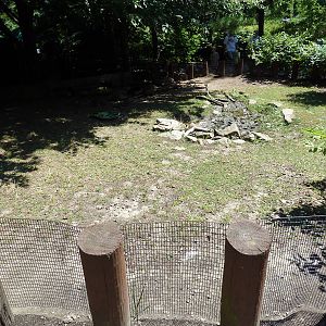 Wild Prairie - Spur-Thighed Tortoise Exhibit