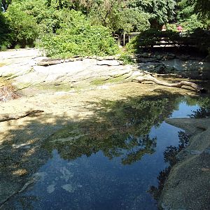 Wild Prairie - Waterfowl Exhibit