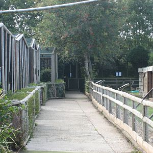 Liberty`s  Owl, Raptor and Reptile Centre.