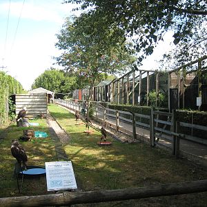 Liberty`s Owl, Raptor and Reptile Centre.