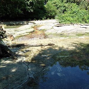Wild Prairie - Waterfowl Exhibit