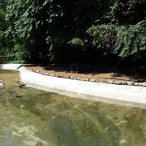 Wild Prairie - Waterfowl Exhibit