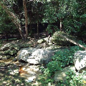Wild Prairie - Bald Eagle Exhibit