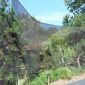 Wild Prairie - Thick-Billed Parrot Exhibit