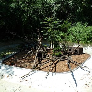 Wild Prairie - Coati Exhibit