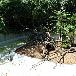 Wild Prairie - Coati Exhibit