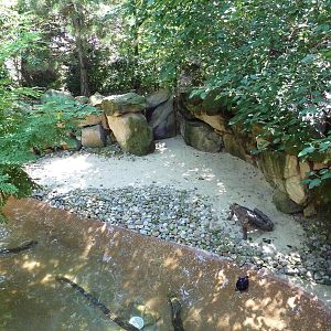 Tiger Valley - Black-Necked Swan Exhibit