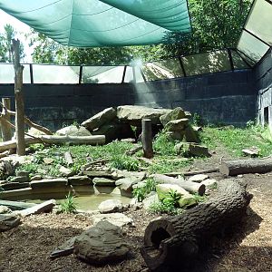 Tiger Valley - Sloth Bear Exhibit