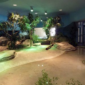 Komodo Kingdom - Komodo Dragon Indoor Exhibit