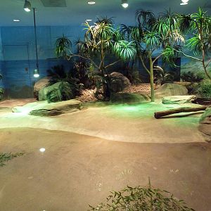 Komodo Kingdom - Komodo Dragon Indoor Exhibit
