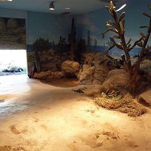 Komodo Kingdom - Galapagos Tortoise Indoor Exhibit