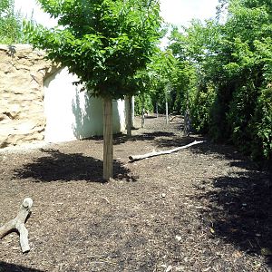 Legends Of The Wild - Sika Deer Exhibit