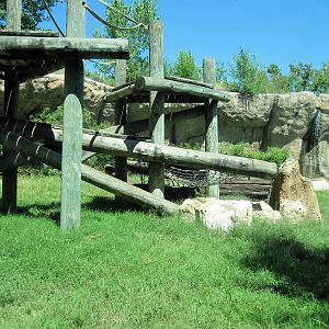 Orangutan and Chimpanzee Habitat-Chimpanzee Exhibit