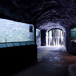 Tunnel of Underwater - Closing Day - 05/09/2010