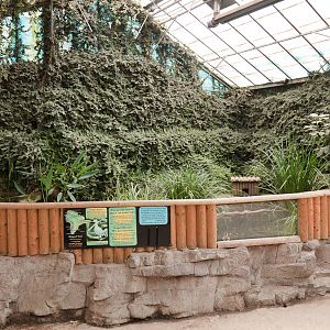 Ringed Teal Exhibit - Closing Day - 05/09/2010