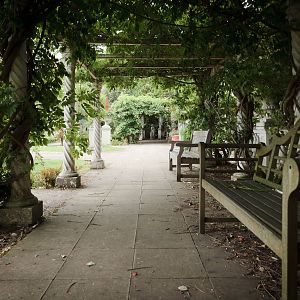 Forgotten Wisteria - Closing Day - 05/09/2010
