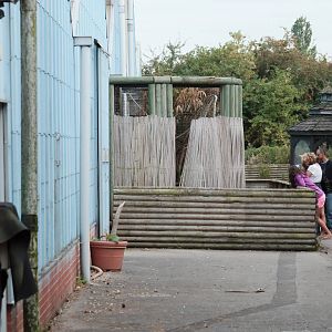 Coati Enclosure - Closing Day - 05/09/2010