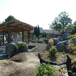 Construction - African Elephant Crossing