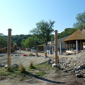 Construction - African Elephant Crossing